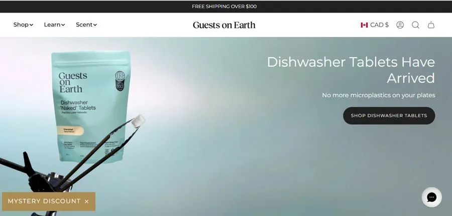 Homepage of the Guests on Earth online store